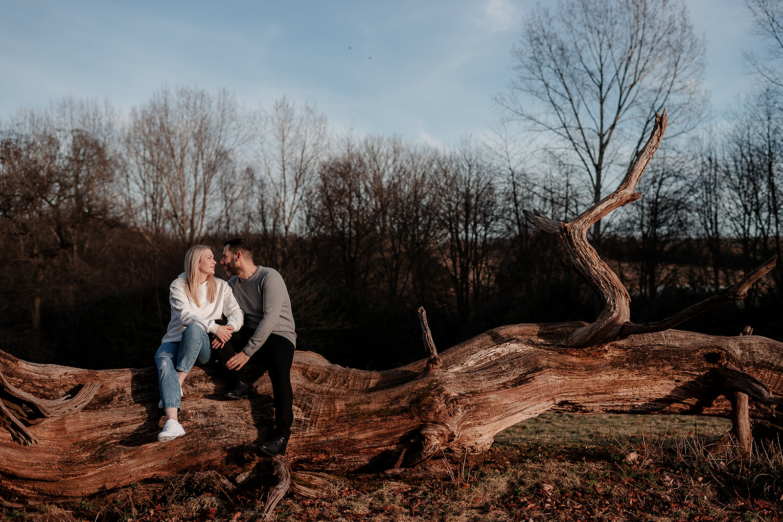 An engaged couple sat on a fallen tree and rest their heads together, bathed in golden sunlight