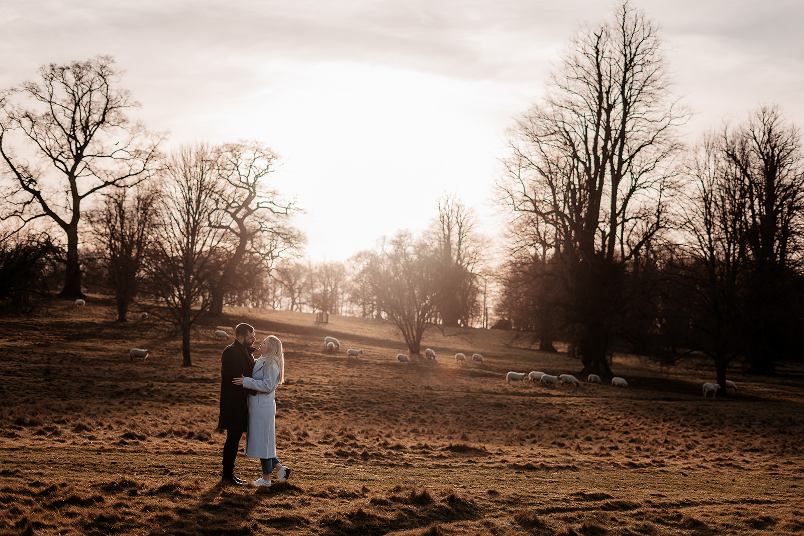 An engaged couple stare into each other's eyes at their pre-wedding shoot at golden hour in a field in Hampshire