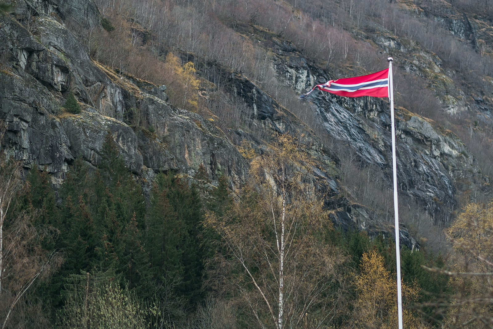 Norway Flag in the Mountains