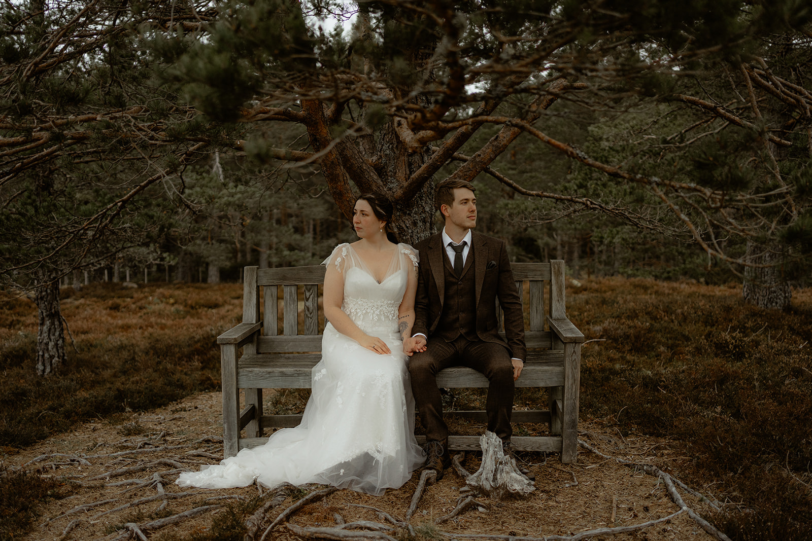 Cairngorm elopement. Couple sitting on bench underneath large tree holding hands.