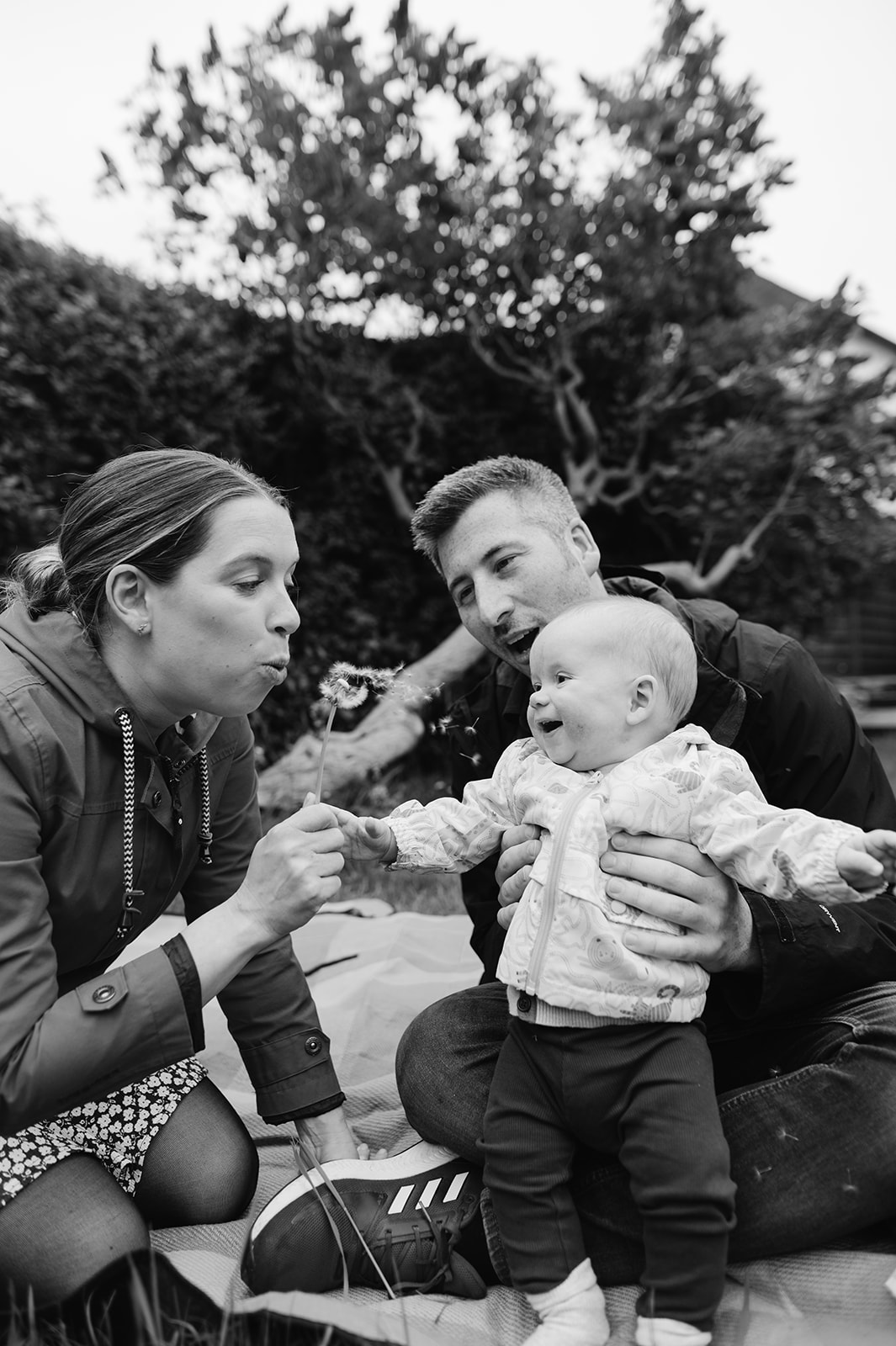 parents and baby boy on a picnic rug in the garden blowing dandelion seeds