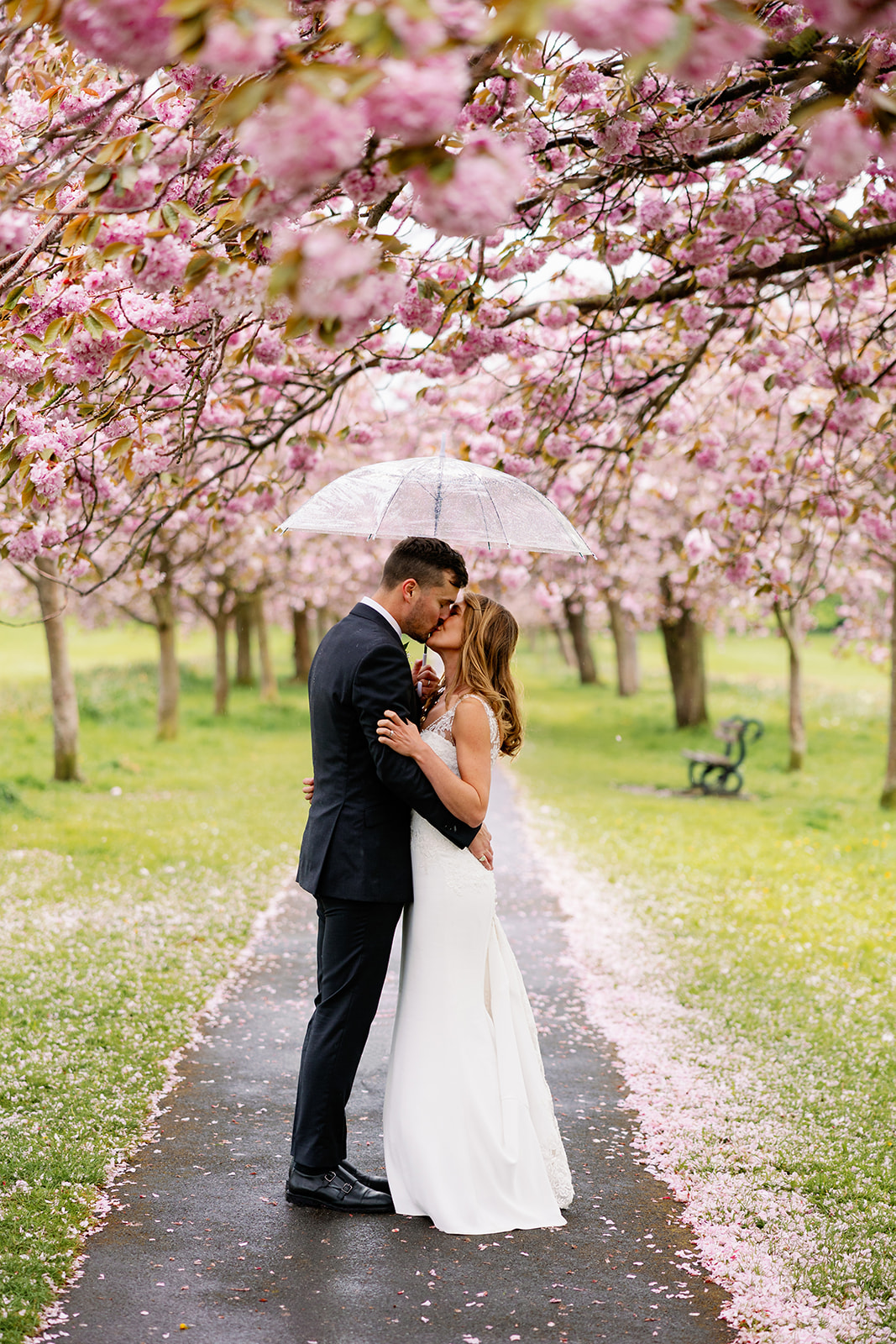 A bride and groom kissing on The Stray in Harrogate under cherry blossom 