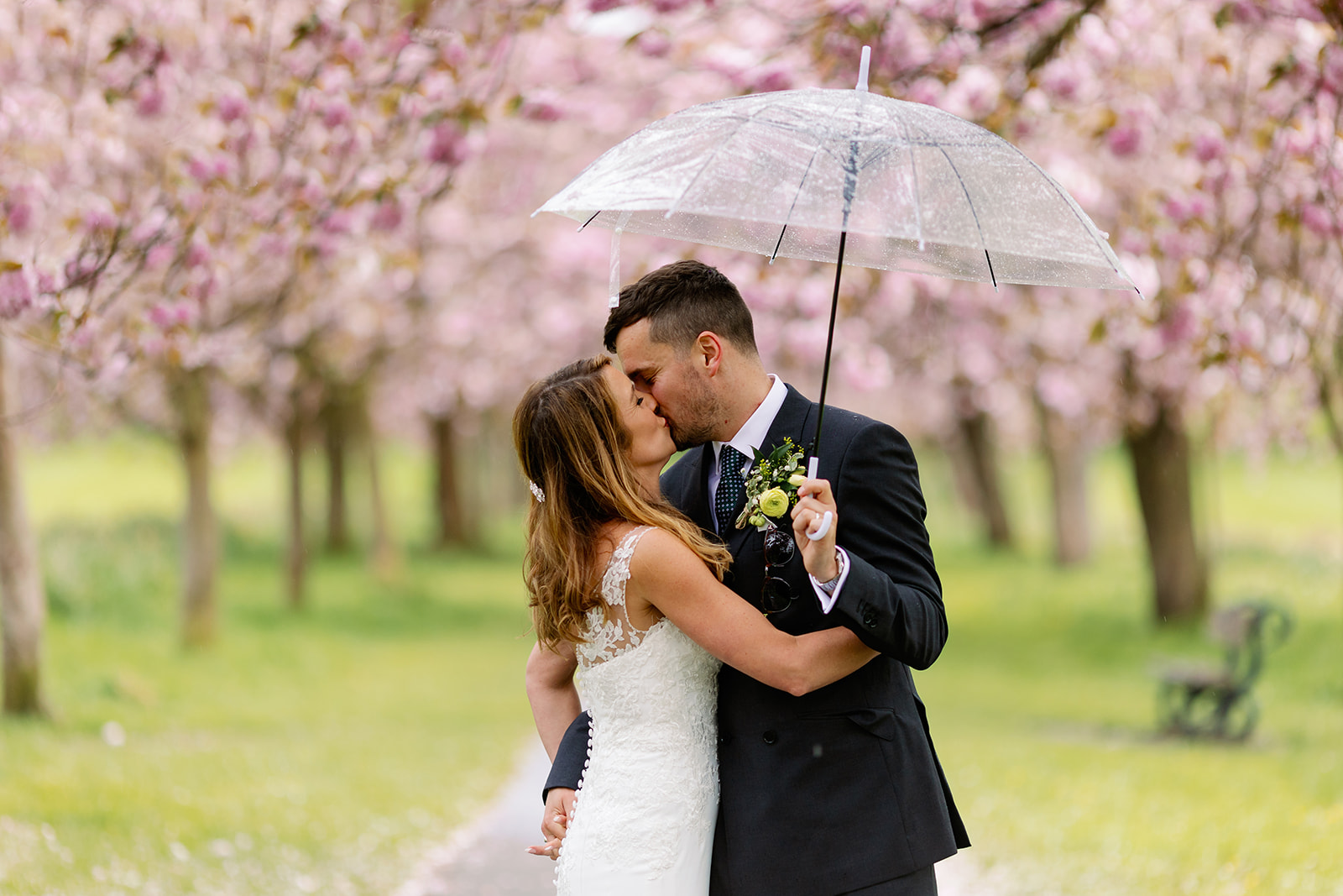 A newly married wedding couple kissing under Cherry Blossoms