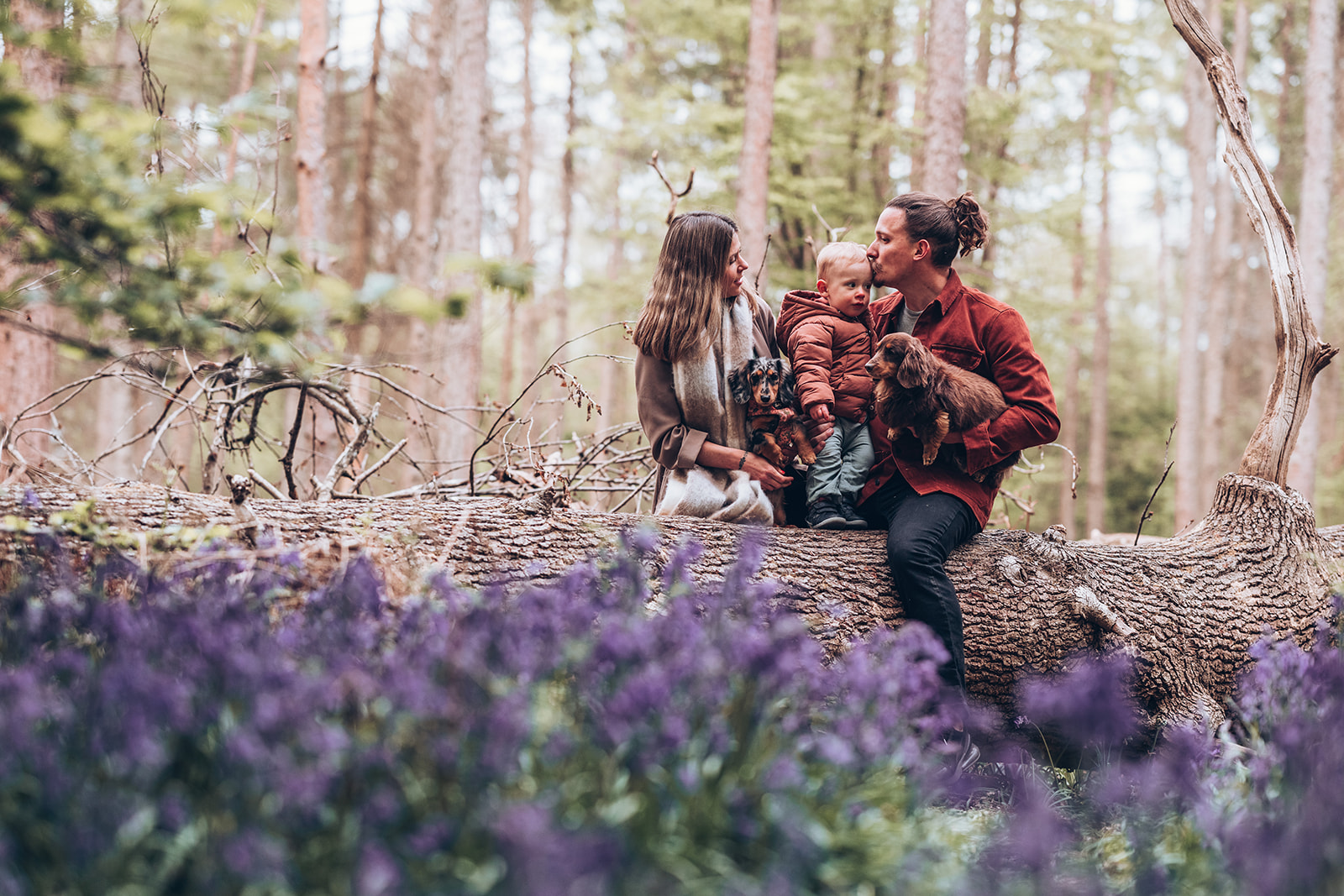 A family shoot in the bluebell woods 
