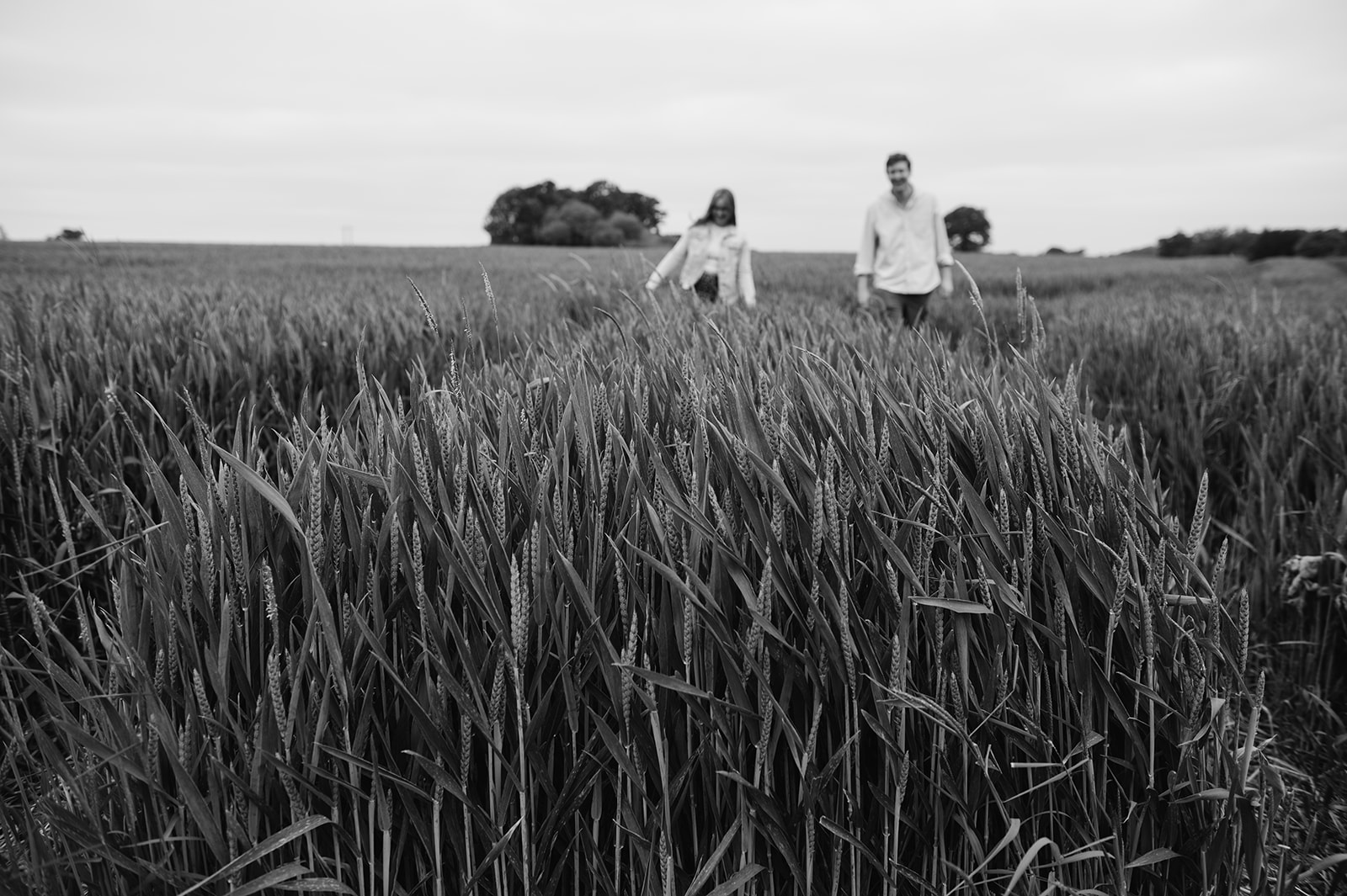 The couple are in the distance walking towards the camera with the wheat in focus in the foreground