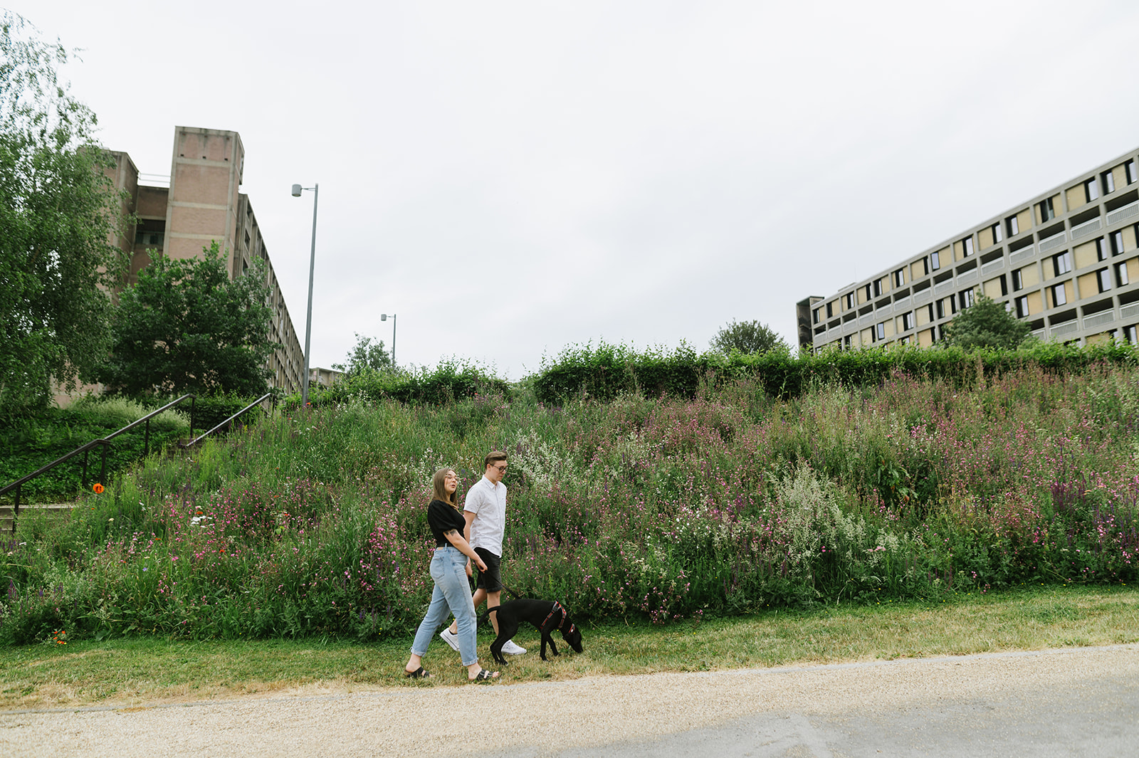 Couple walking their dog past wild flowers at Park Hill Sheffield