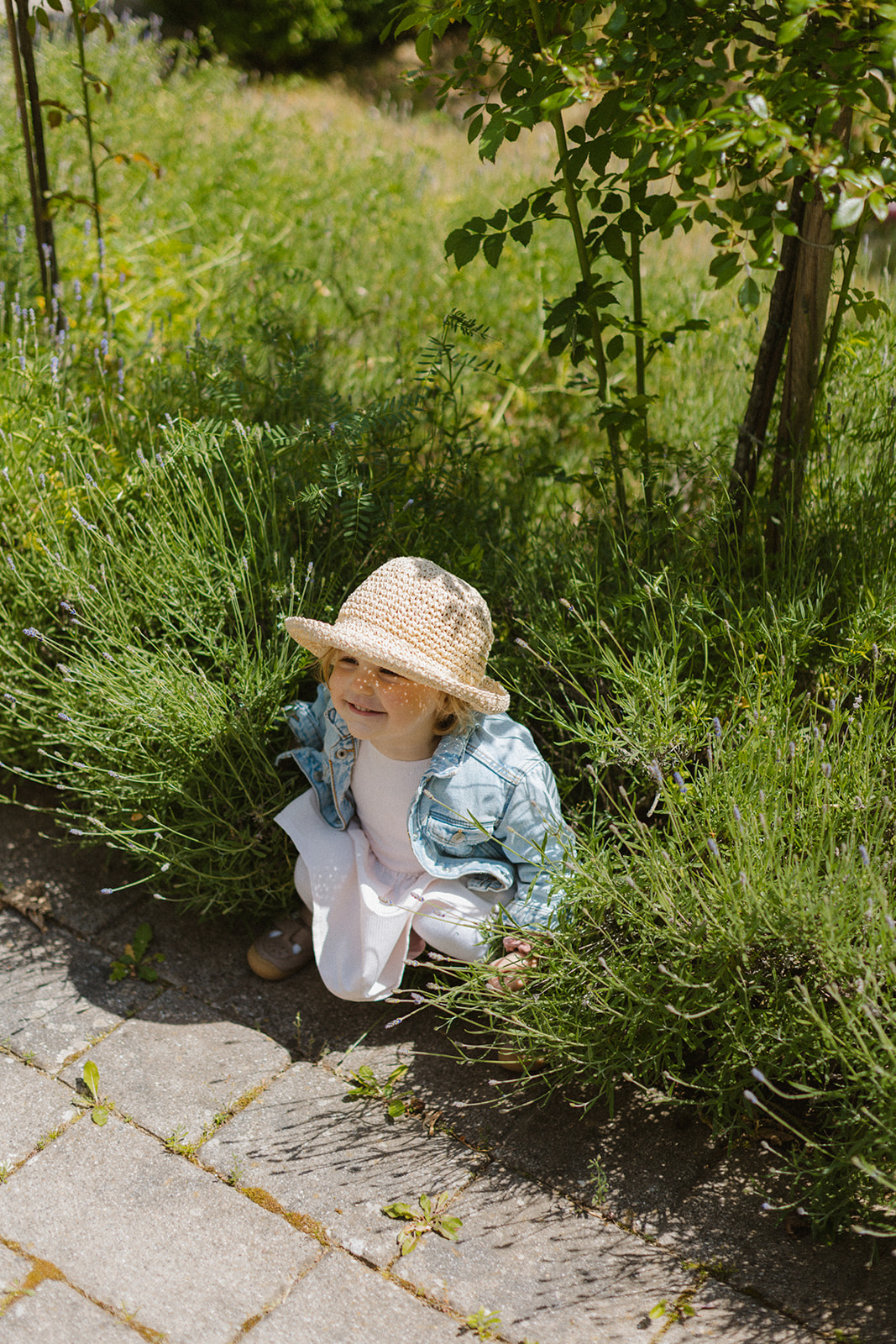 Kleines Mädchen mit Hut sitzt im Lavendelbusch