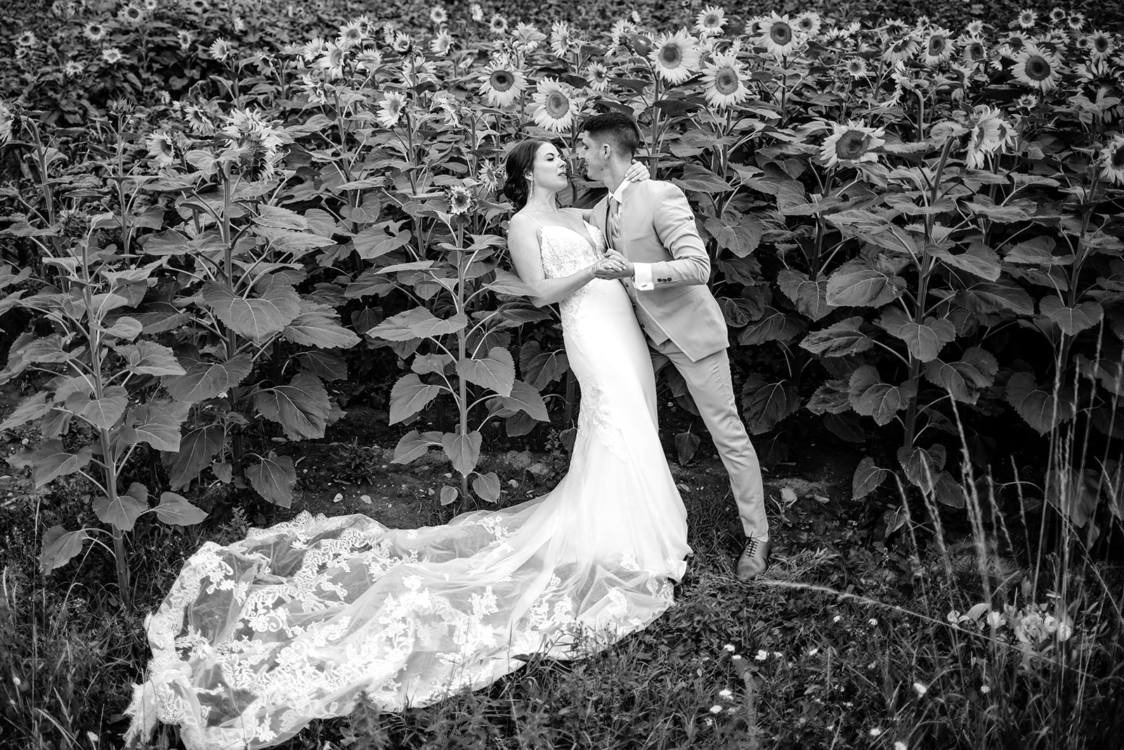 Photographe de mariage dans l'Ain, photos de couple dans les tournesols