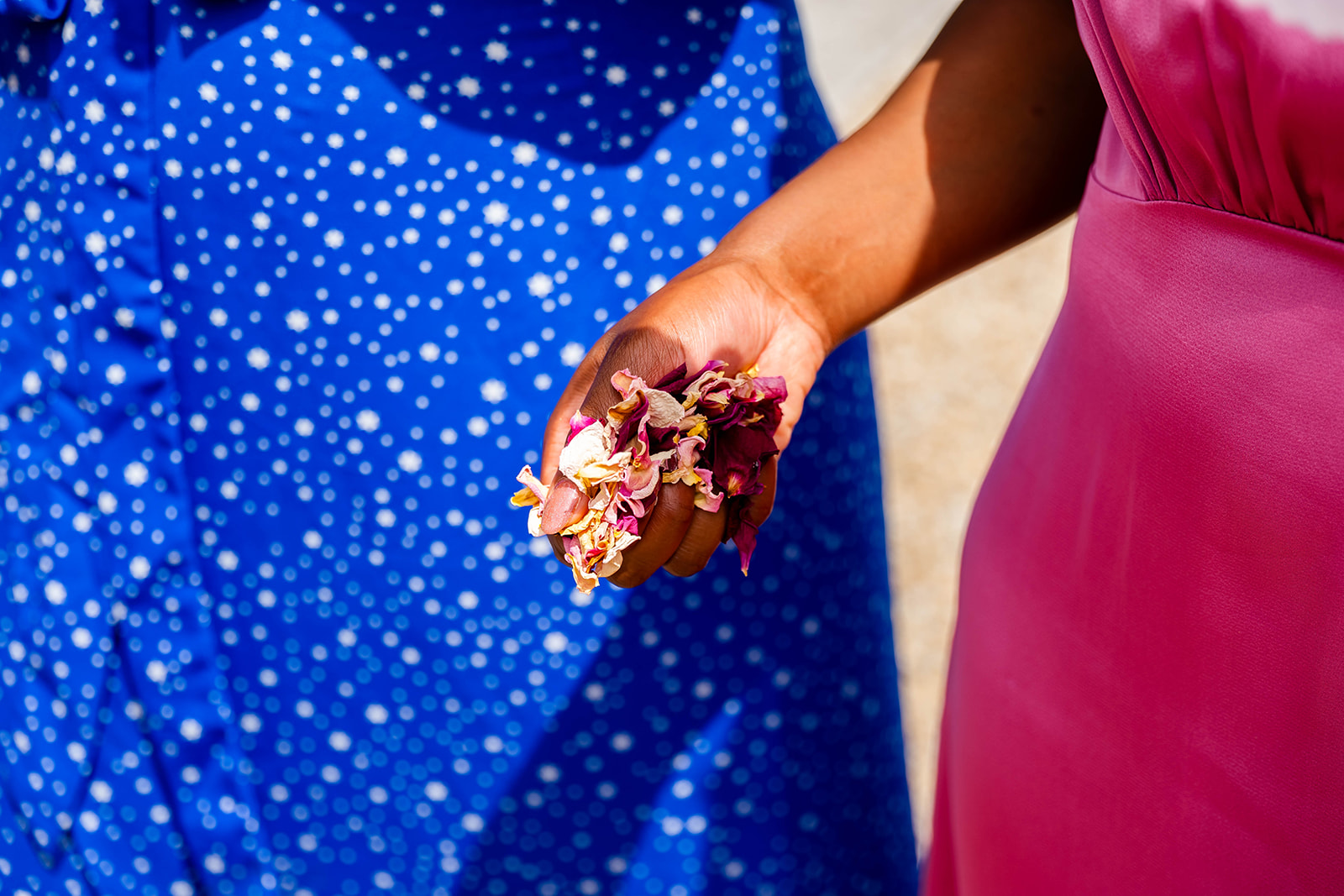 hands clutching petals for the confetti throw in South West France
