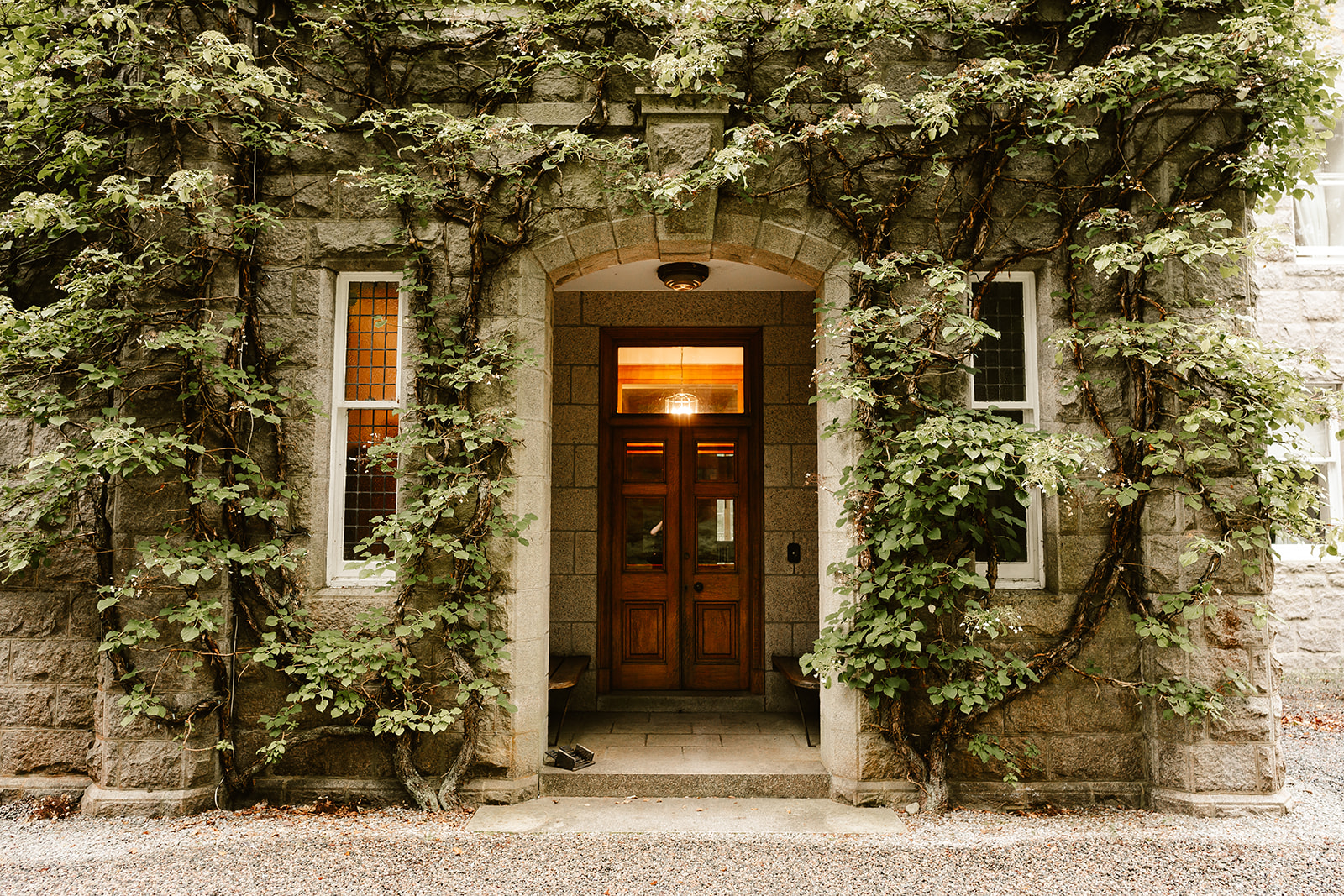 Image of a front door to a BnB with lush greenery crawling up the walls
