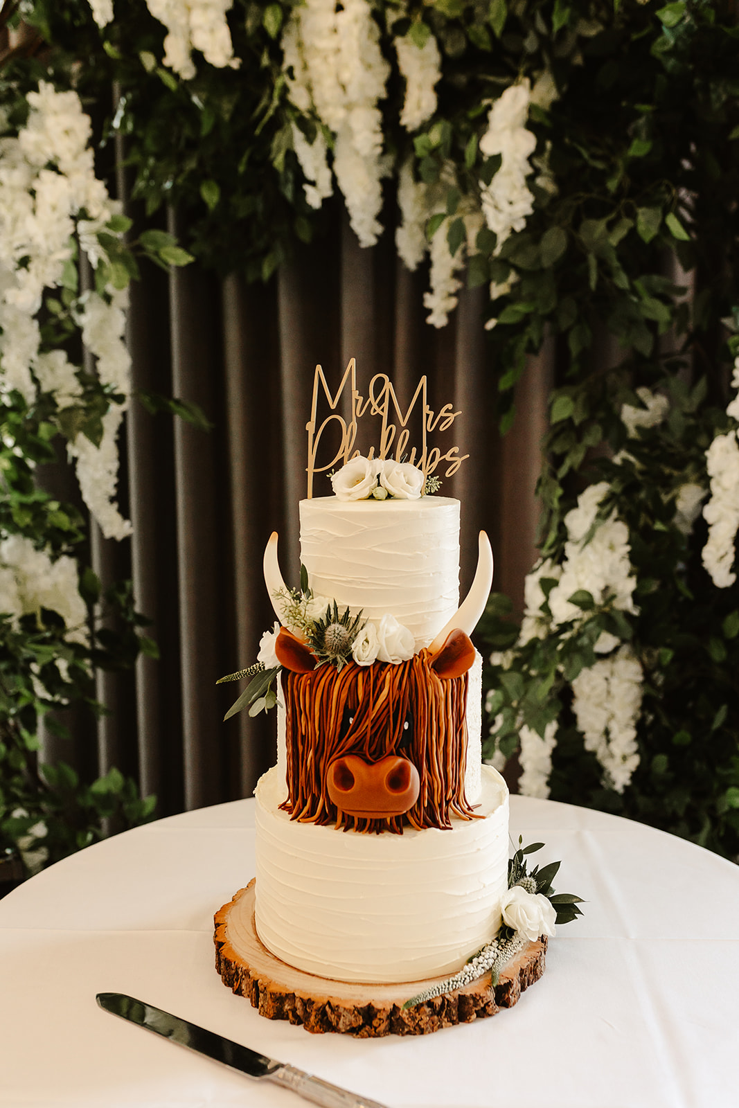 Cake inspired by highland cows
