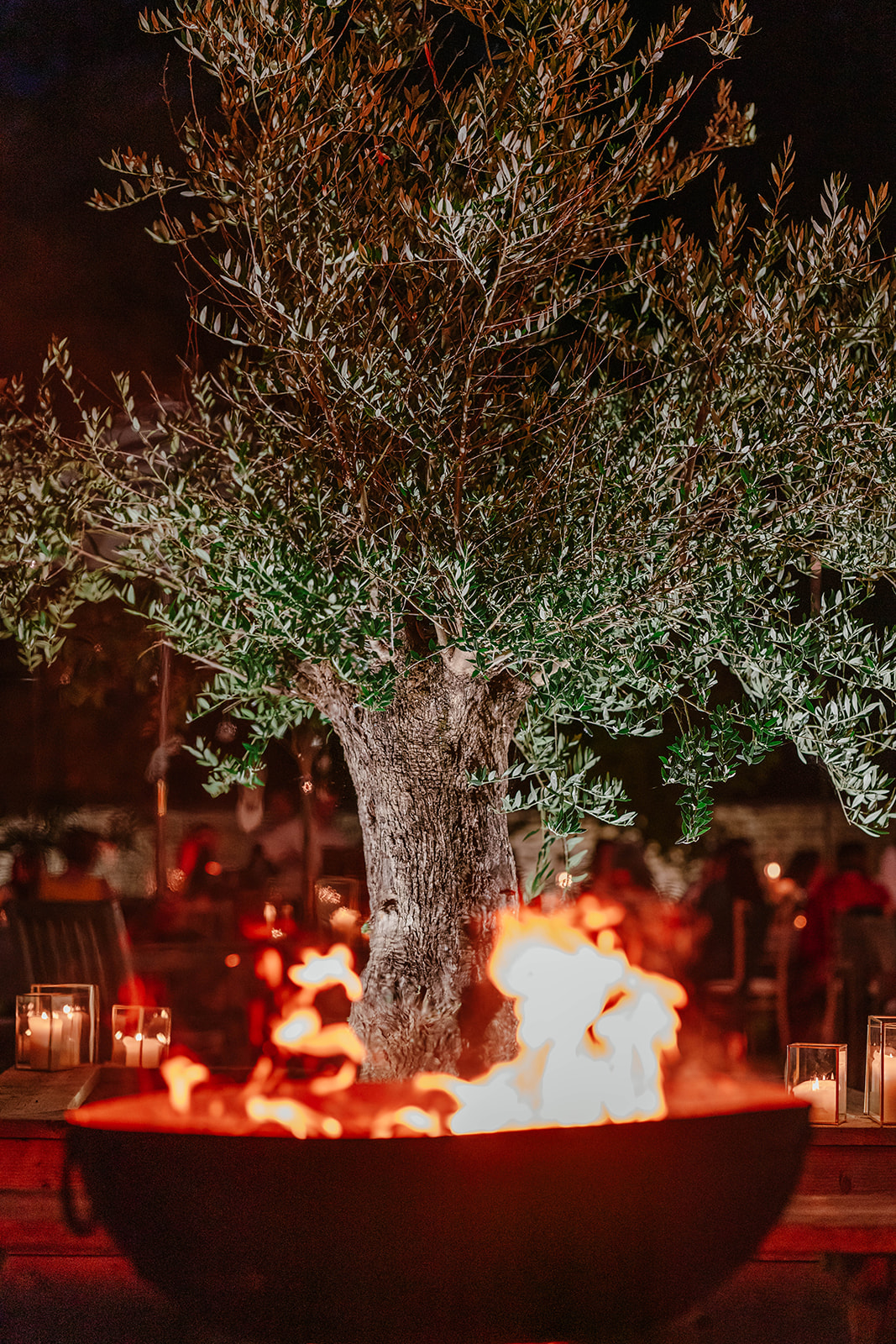 fire pit olive tree Zara Davis Wedding Photography Waters Edge at Ewen Cotswolds Gloucestershire Cirencester cheltenham
