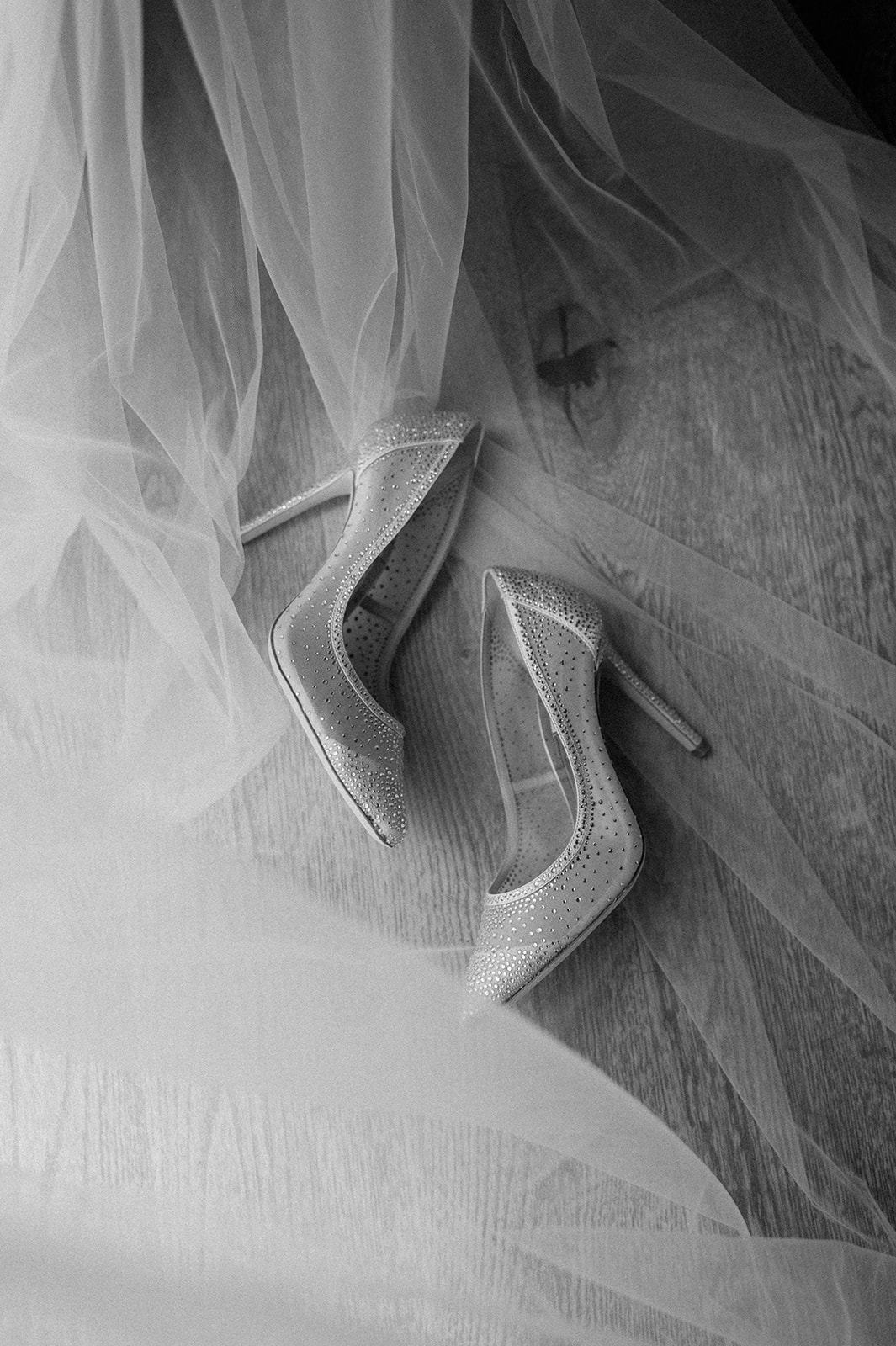 wedding shoes with veil
