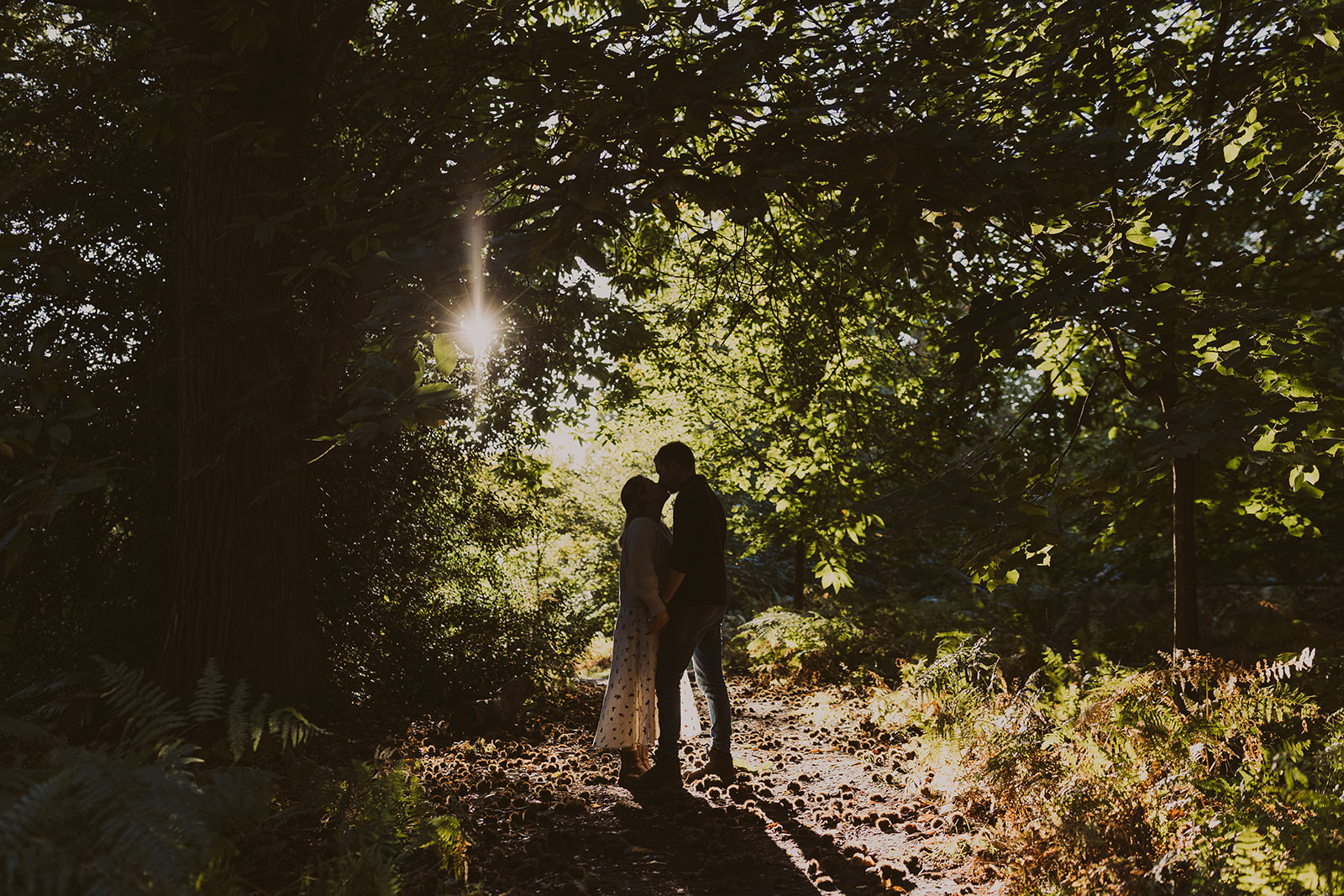 A back-lit silhouette of a couple embracing at Virgina Water, Surrey, in autumn