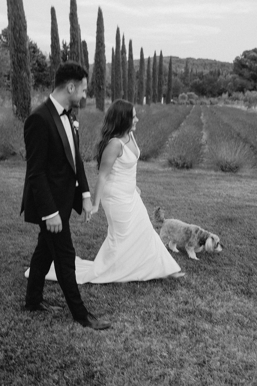 bride and groom walking in provence with dog
