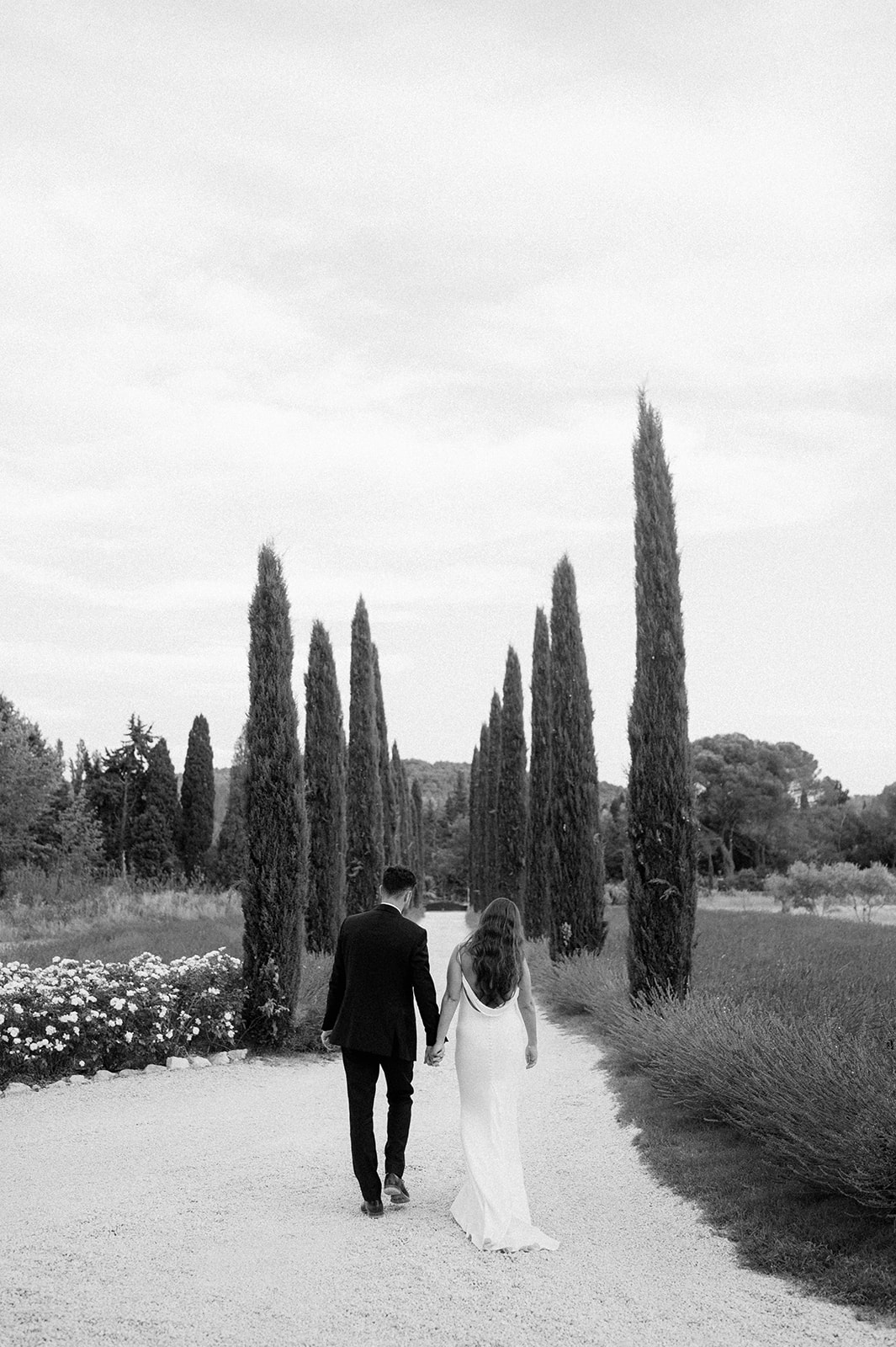 couple walking down tree lined road in provence