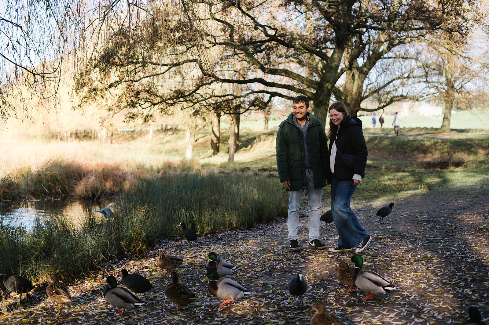 engagement photos in Wollaton Park Nottingham with the ducks