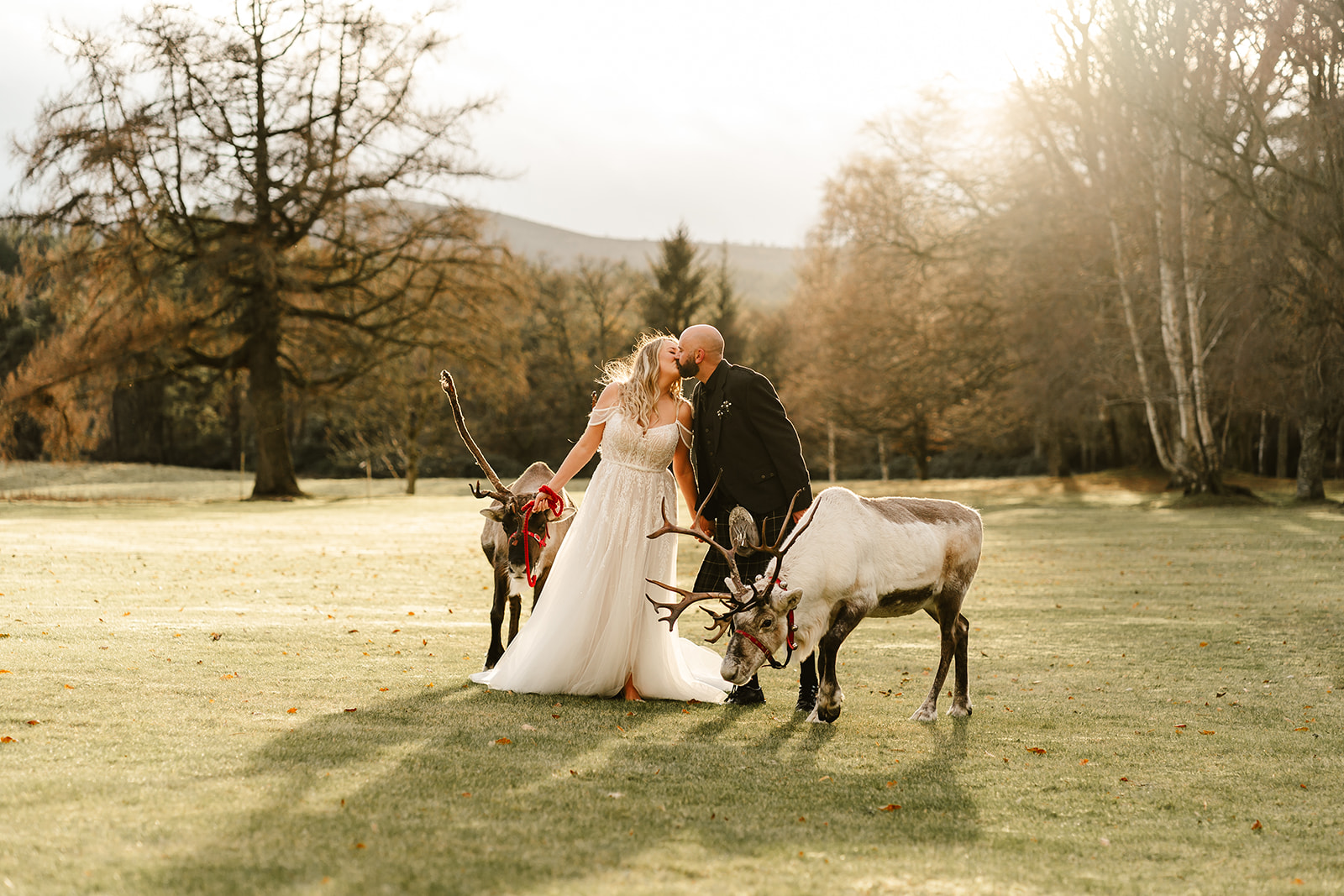 bride and groom pose with reindeers on grounds of raemoir house