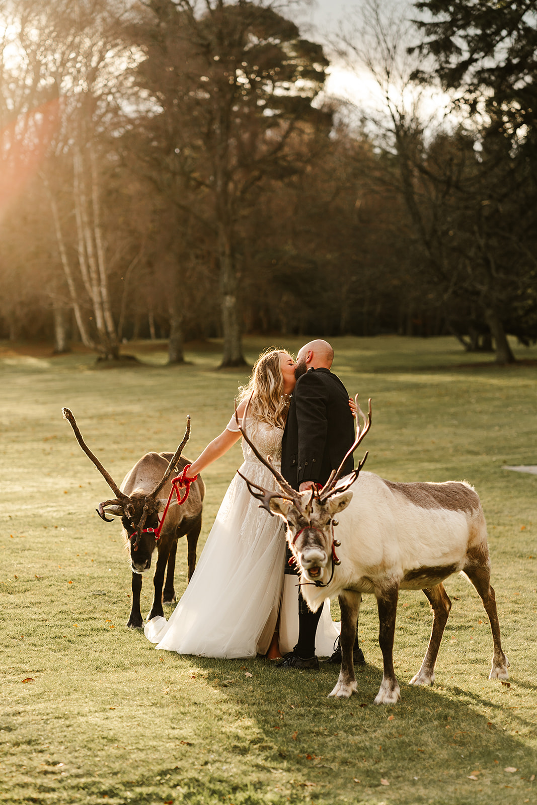 bride and groom pose with reindeers on grounds of raemoir house