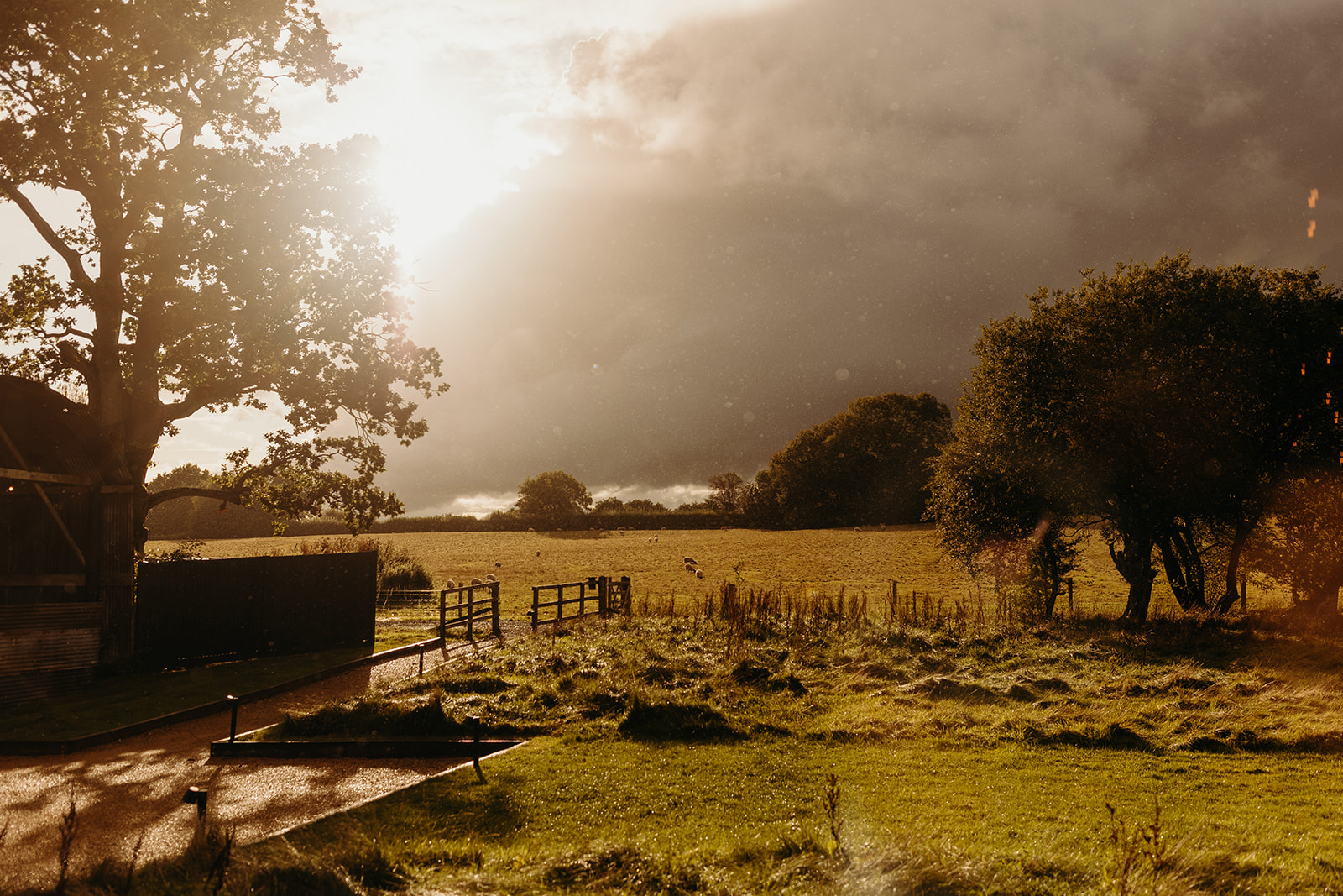 Dramatic lighting illuminates the rural landscape at Silchester Farm wedding as sunbeams pierce through the clouds.
