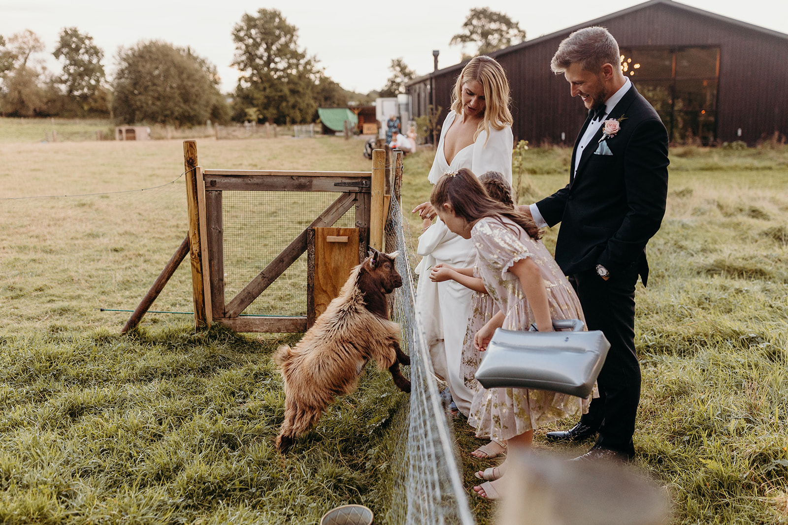 Bride and groom enjoying the company of the farm animals at their Hampshire wedding location.
