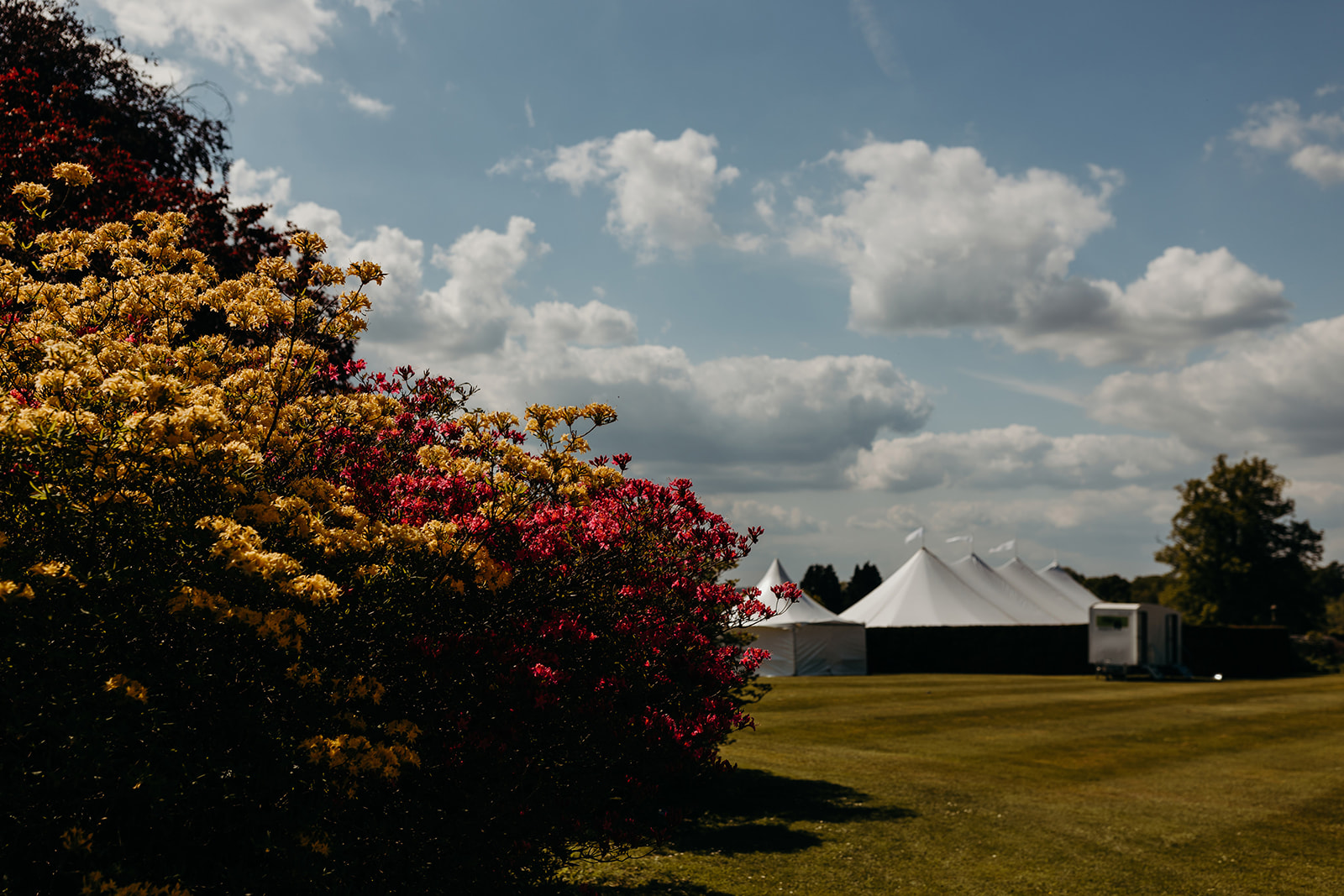 The estate gardens at Buckhurst Park provide a picturesque setting for the wedding reception.