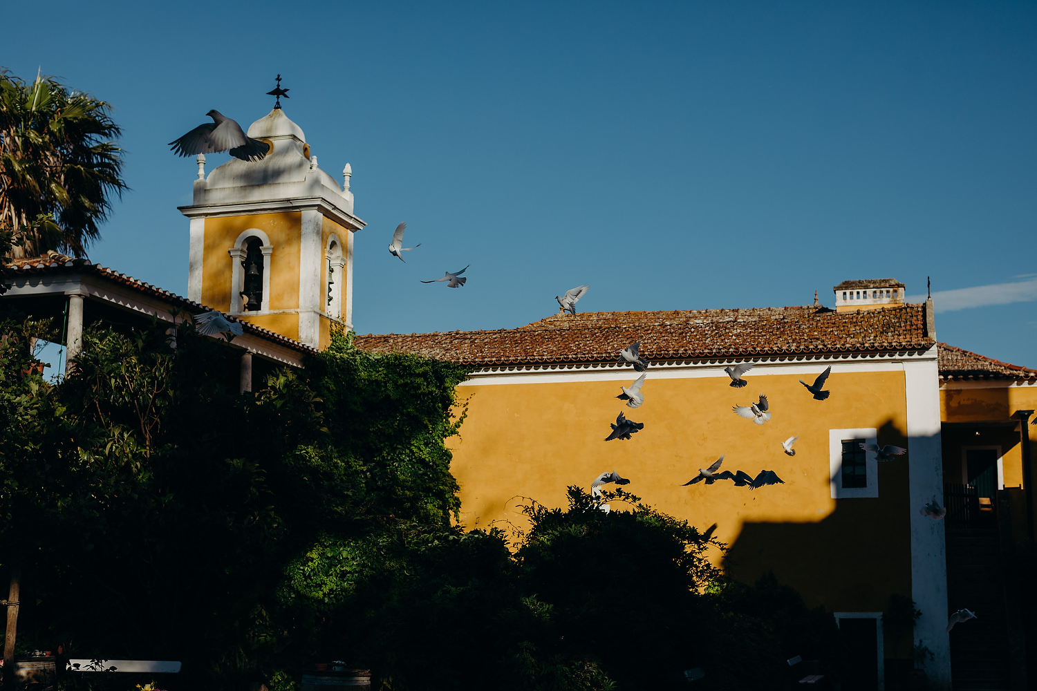doves flying as sun hits orange vineyard building 