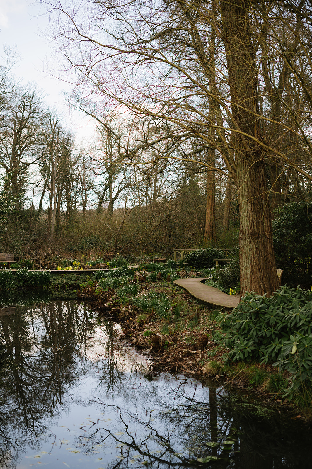 Spring engagement photo session at Winterbourne House and Gardens at the University of Birmingham