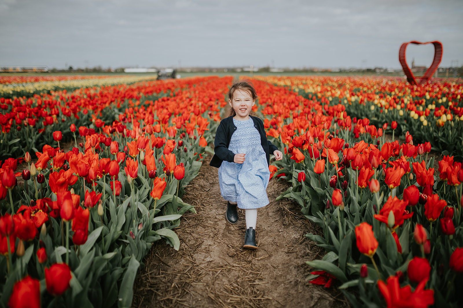 Family photoshoot at the tulip fields The Tulip Barn