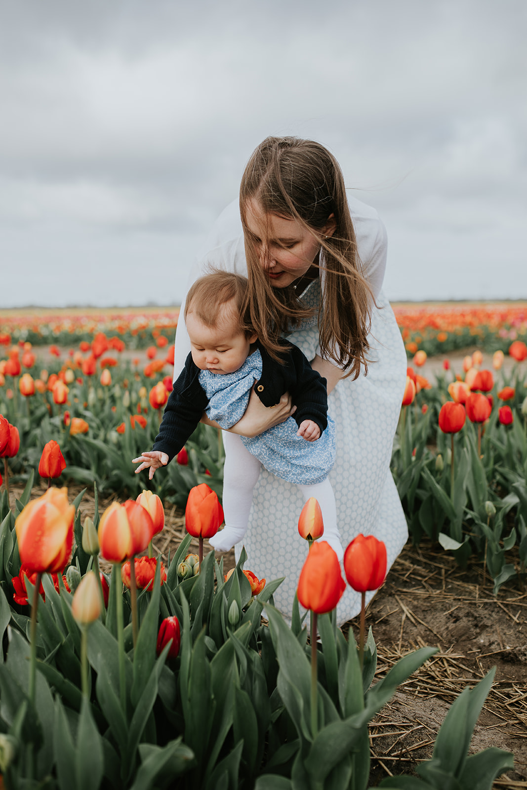 Family photoshoot at the tulip fields The tulip barn