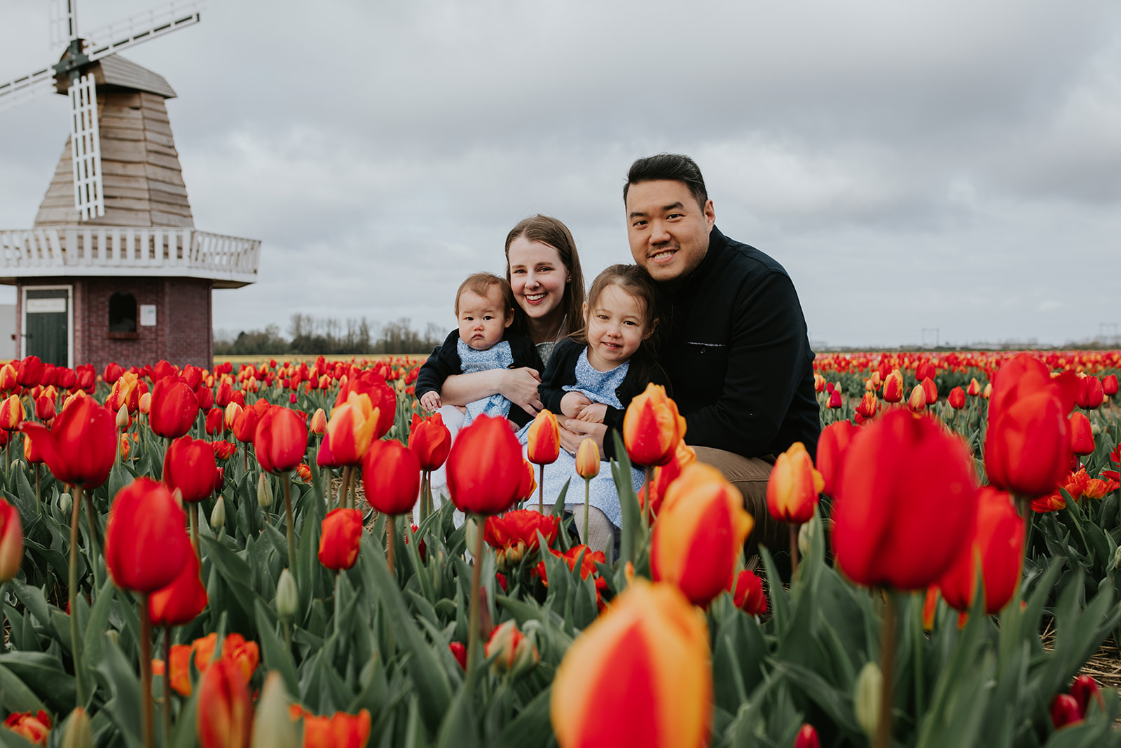 Family photoshoots at the tulip fields 
